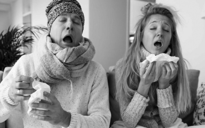 Influenza Update